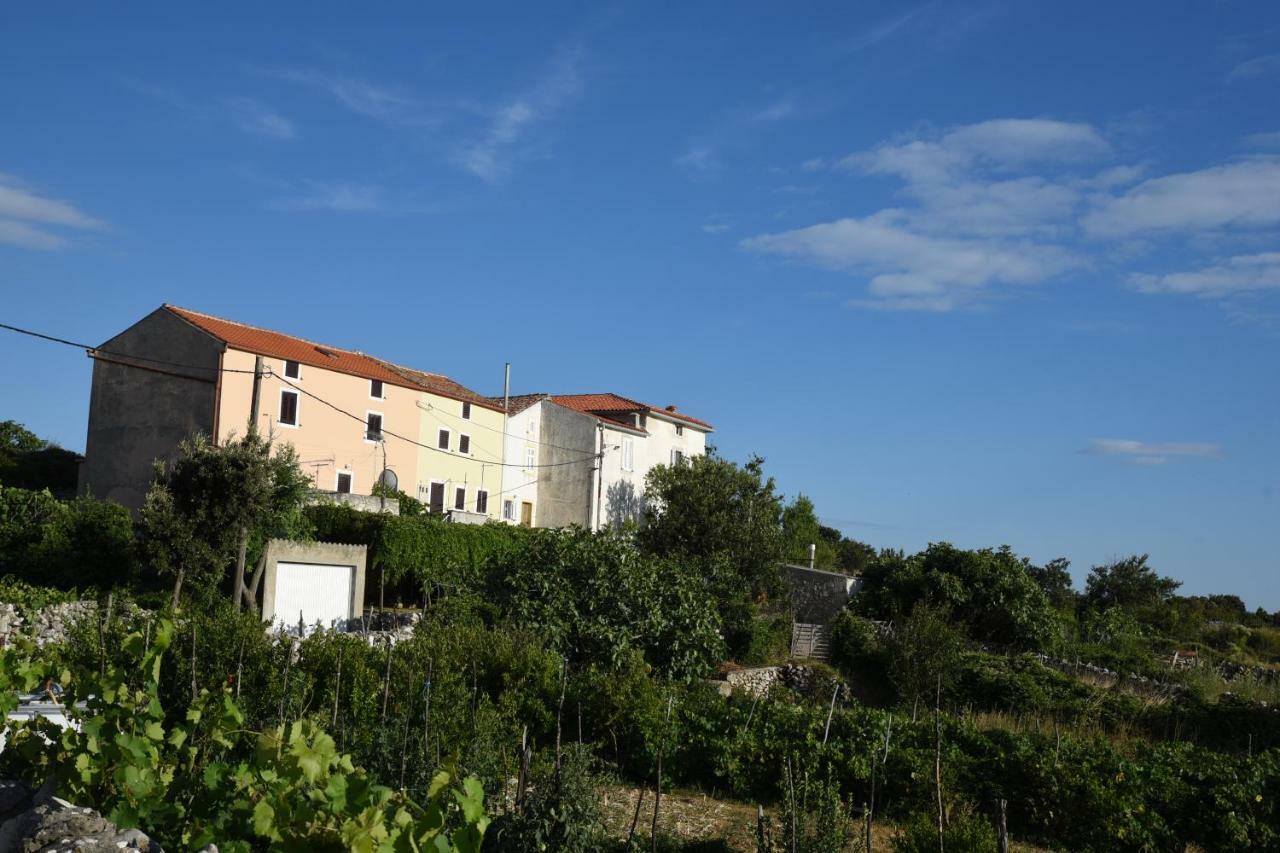 Accommodation Lily Vrana  Exterior photo
